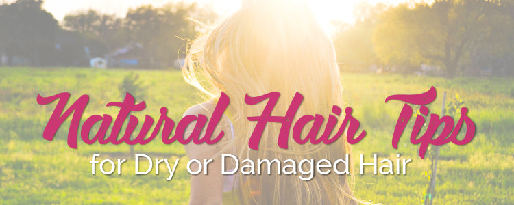 Natural Hair Tips for Dry or Damaged Hair