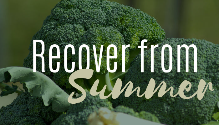 Recover from Summer with Ways to Use Broccoli Seed Oil