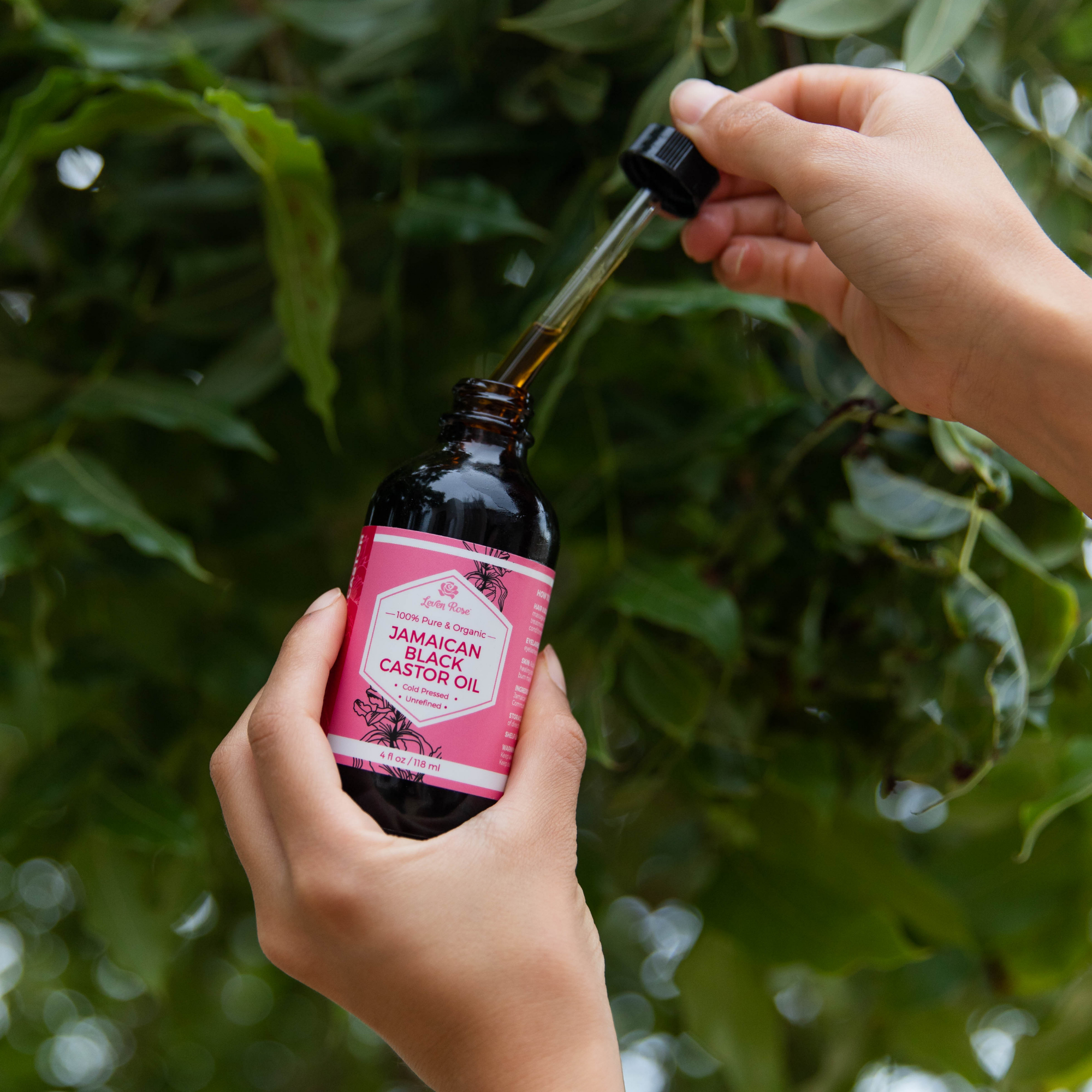castor oil black seed oil rose hip oil Organic Jamaican Black Castor Oil on Sale